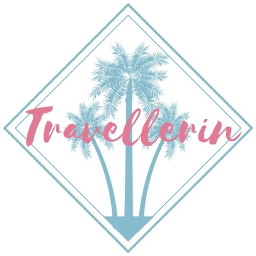 Logo für Blog travellerin.de zeigt türkise Palme