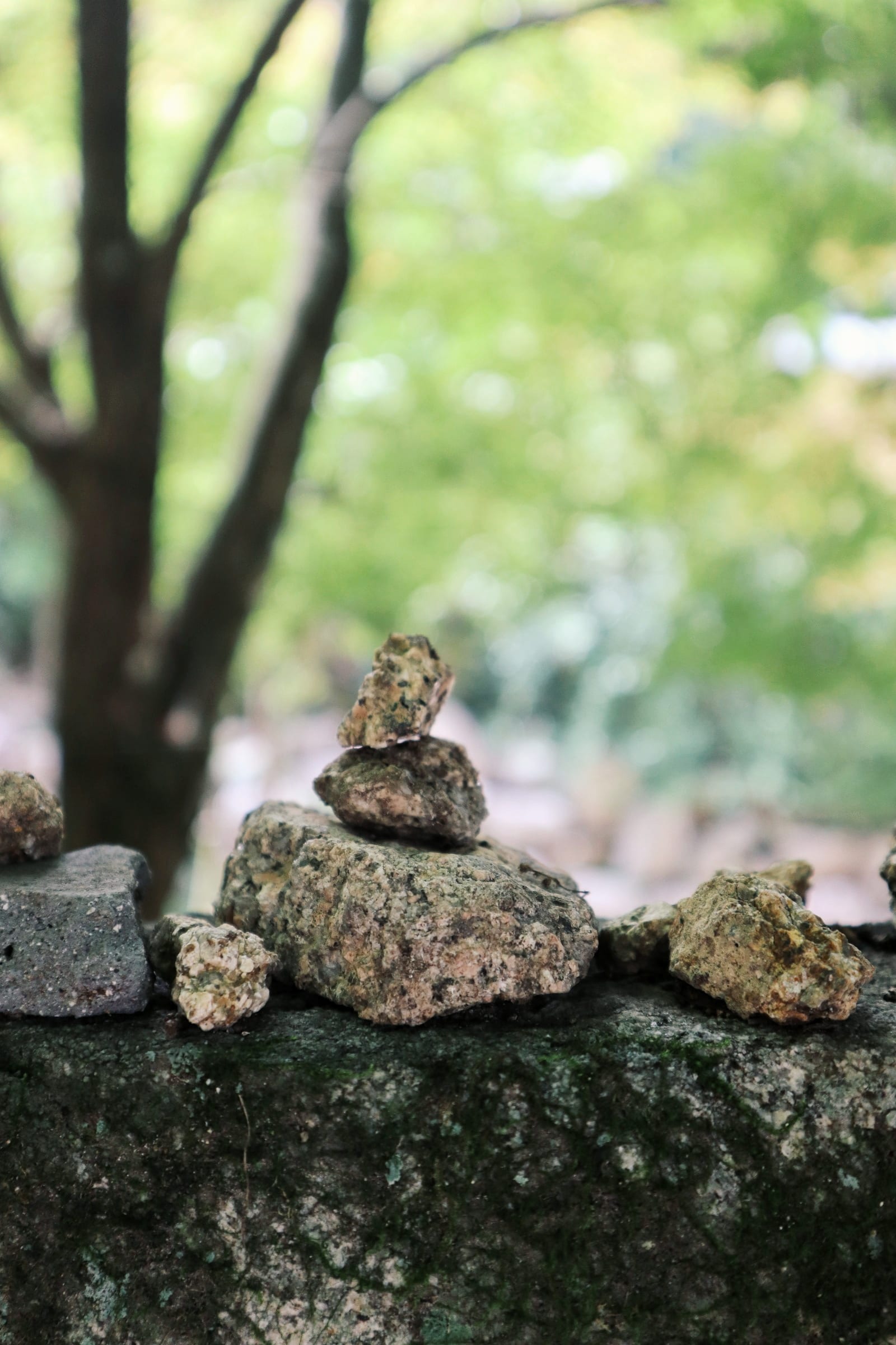 Tag 09/ 96: Miyajima zwischen Enttäuschung und Begeisterung - Reiseblog ...