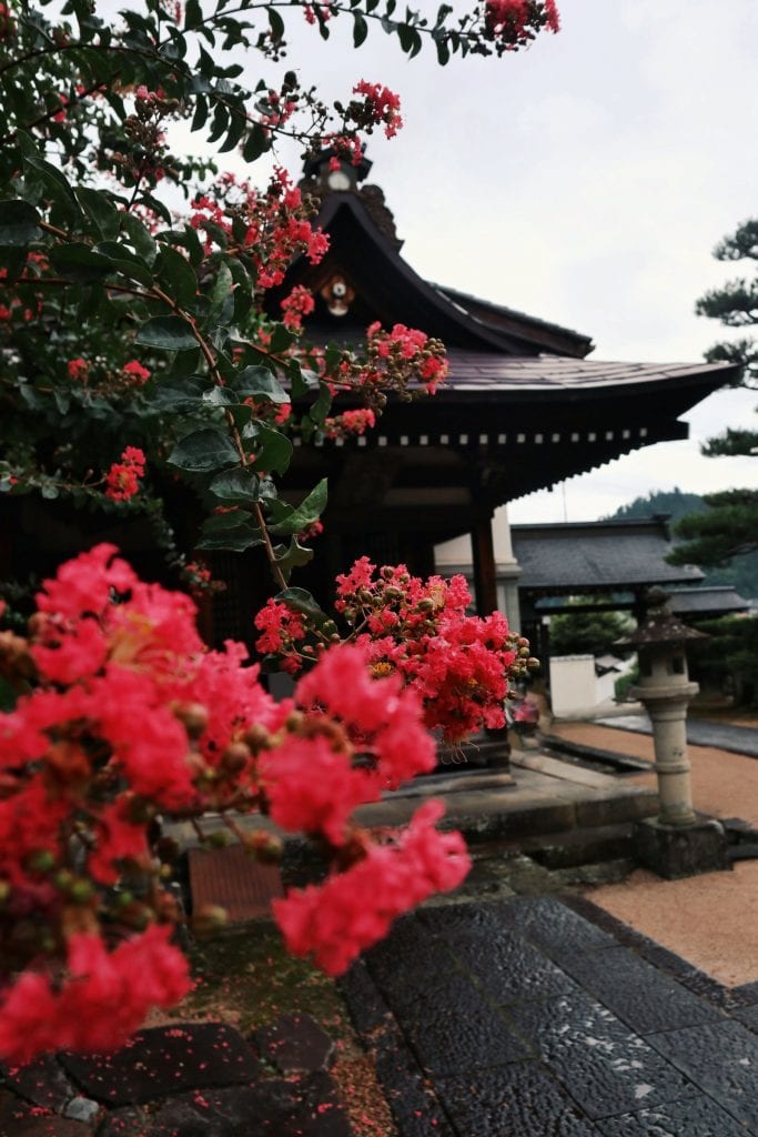 Tempel mit roten Blumen in Takayama
