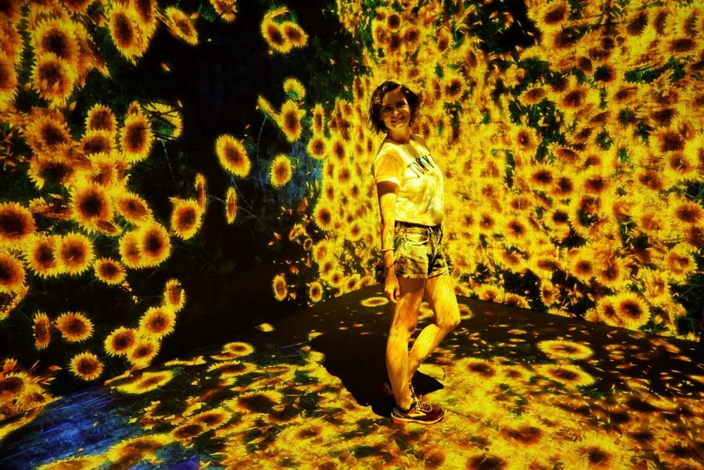 Sonnenblumen im Teamlab Borderless