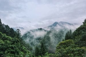 Berge und Wolken auf den Weg nach Koyasan