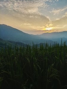 Sonnenuntergang über den Reisterrassen von Longsheng