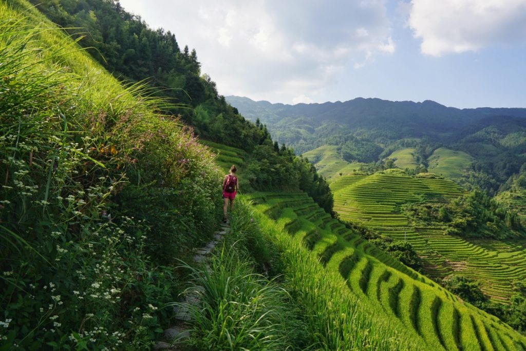 Wandern in den Reisfeldern von Longsheng