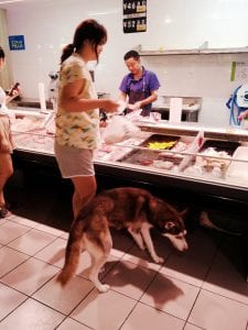Hund im Supermarkt in Peking