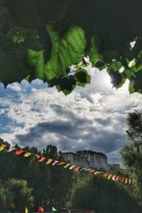 Potala Palace in Lhasa mit Blättern