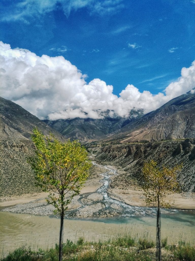 Grüne Bäume auf dem Weg nach Shigatse