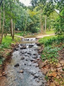 Fluss in der Forest Monastery Thailand