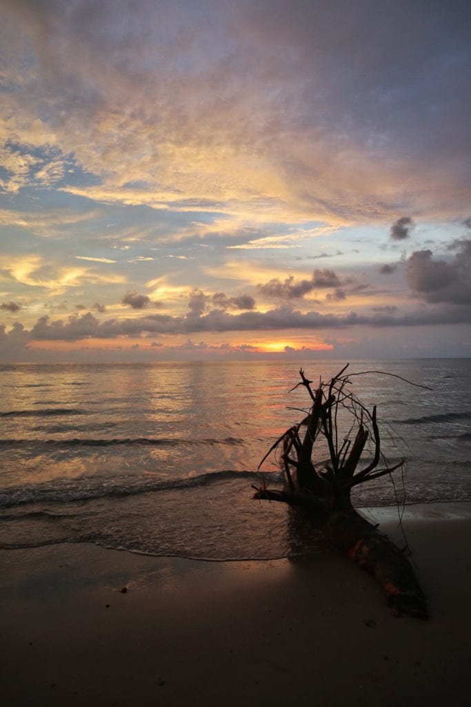 Baumstamm Sonnenuntergang Koh Chang