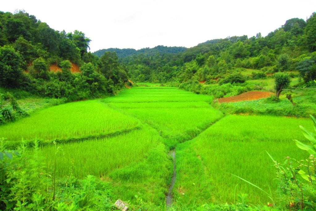 Trek Myanmar zum Inle Lake Reisfelder