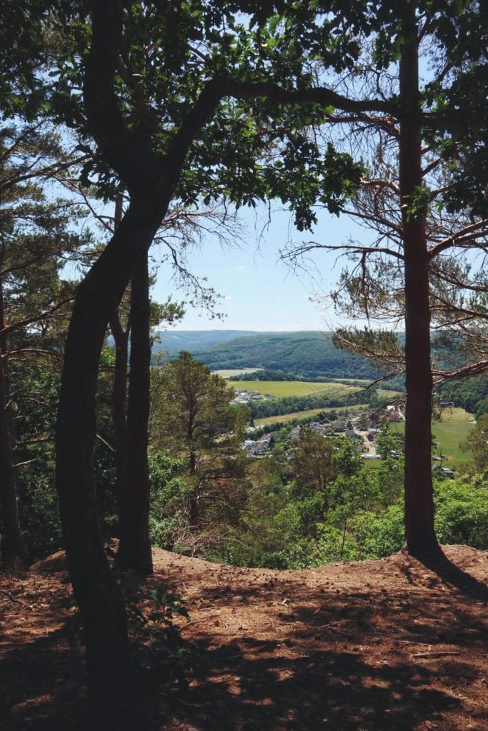 Blick vom Kuehlenbusch auf das Eifeltal