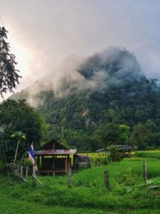 Morgennebel über Reisfelder der Wat Pa Tam Wua Forest Monastery