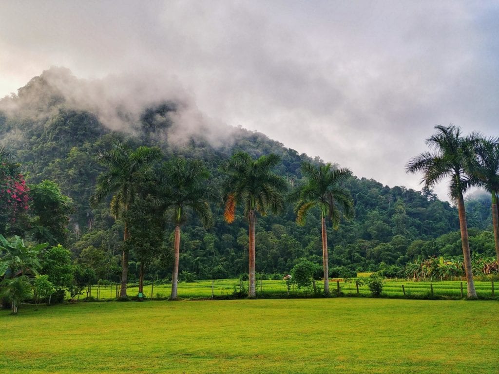 Palmen, Rasen und Berg der Wat Pa Tam Wua Forest Monastery im Nebel