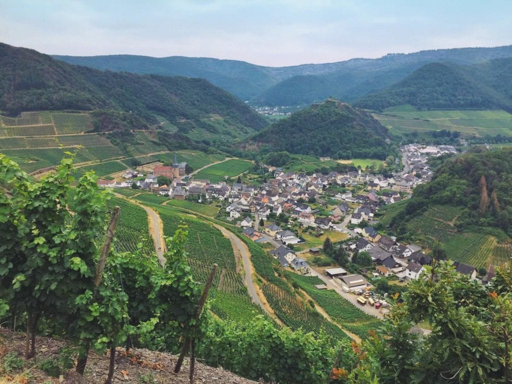 Rotweinwanderweg Ahrtal Blick auf Stadt