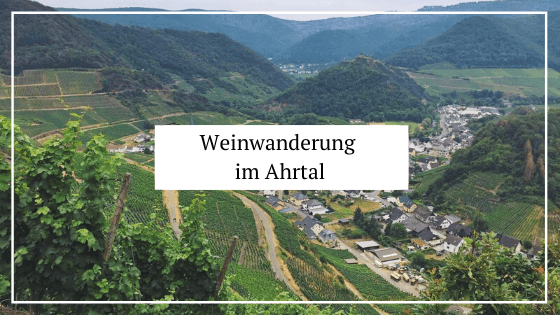 Wanderung im Ahrtal_Rotweinwanderweg