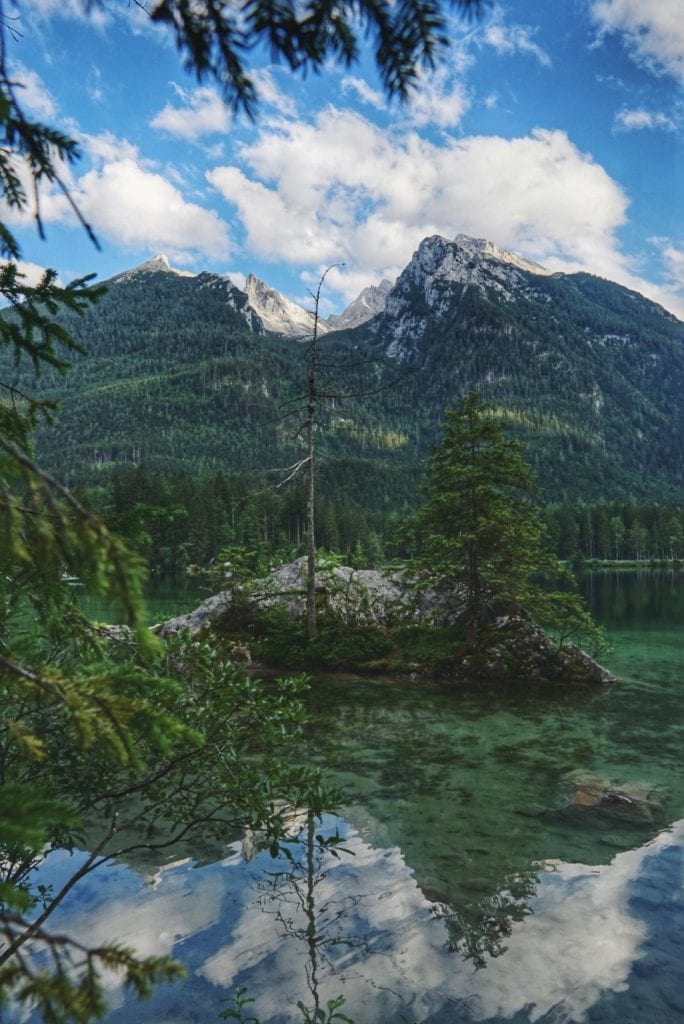 Baum auf Felsen im Hintersee Bayern