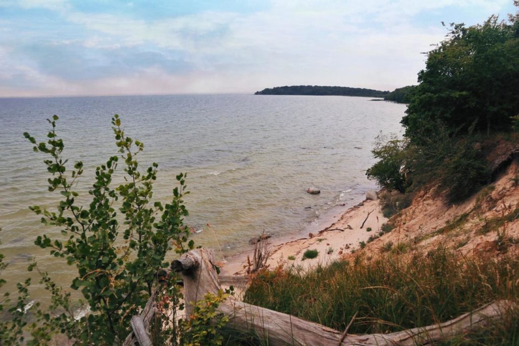 Insel Vilm Führung Blick auf kleinen Vilm