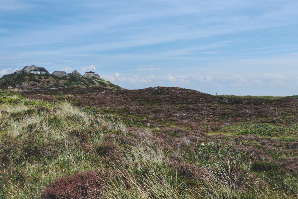 Sylt Dünen kurz vor List