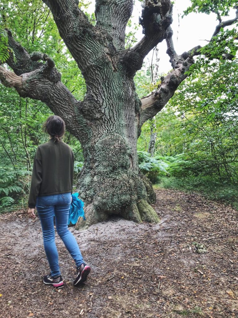 Travellerin Lisa auf Insel Vilm Baum