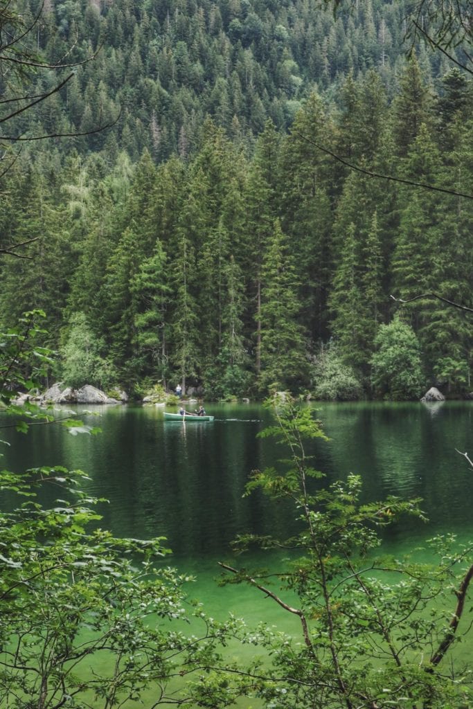 grünes Wasser im Hintersee Bayern