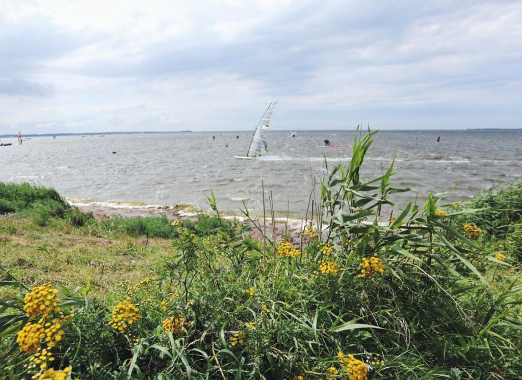 Ausflug nach Ummanz_Kitesurfer im Bodden_Rügen