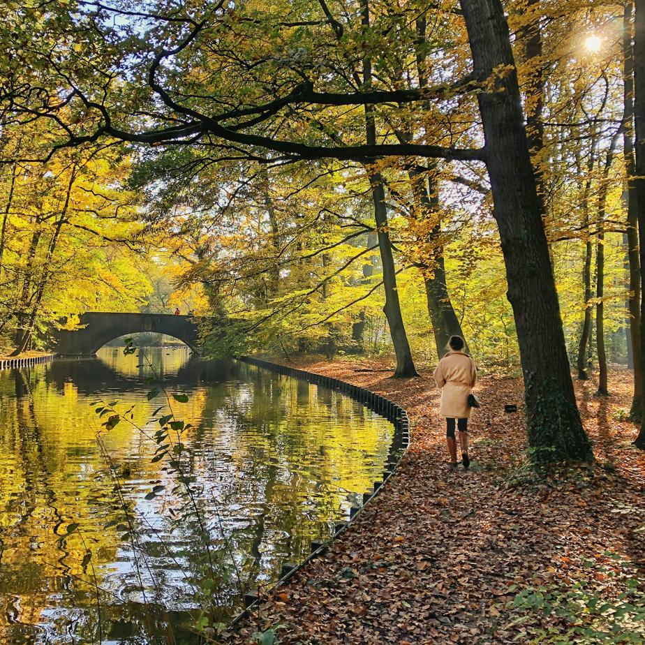 Herbstliche Ausflüge_Spaziergang im Wald