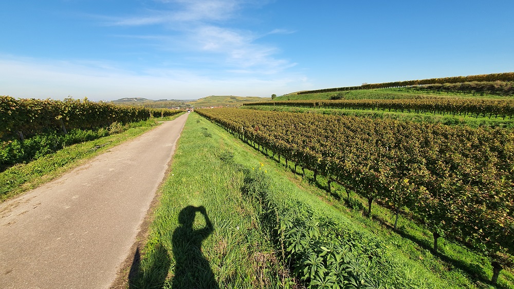 Herbstliche Ausflüge Süddeutschland_Kaiserstuhl Region_Gabriela Kern von Gabriela auf Reisen