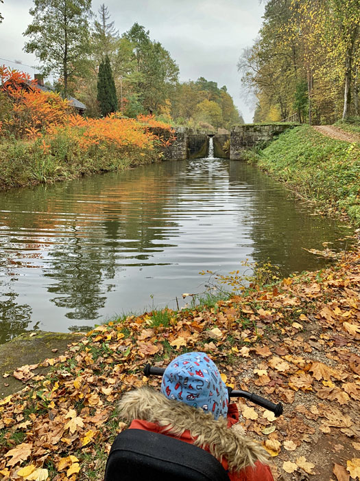 Wandern am Alten Kanal