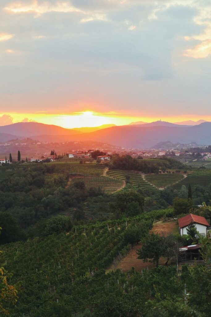 Slowenien Geheimtipp_Weinregion Brda Sonnenaufgang