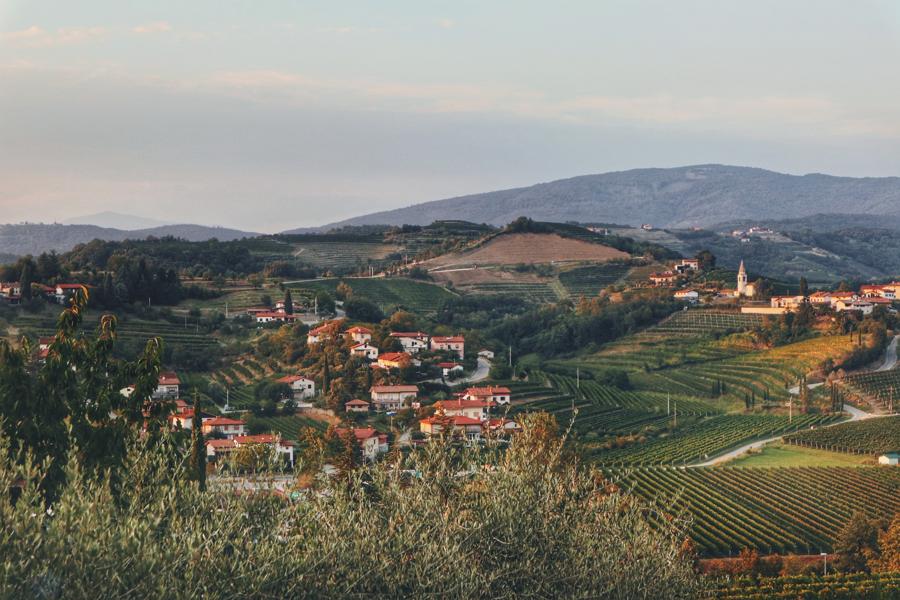 Slowenien Geheimtipp_Weinregion Brda Sonnenuntergang über Weinfelder