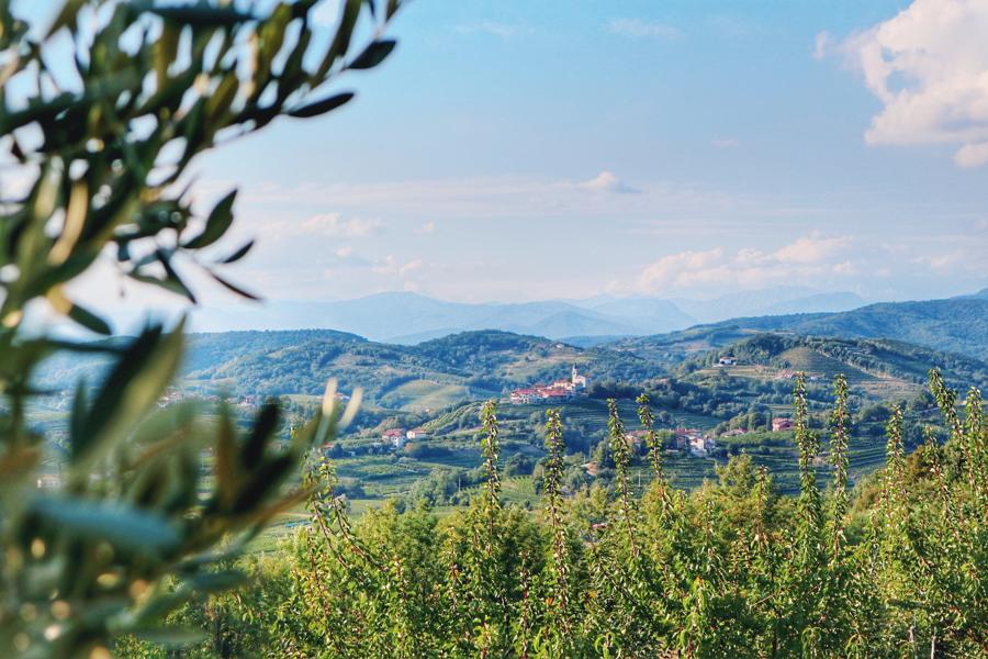 Slowenien Sehenswürdigkeiten_Weinregion Brda