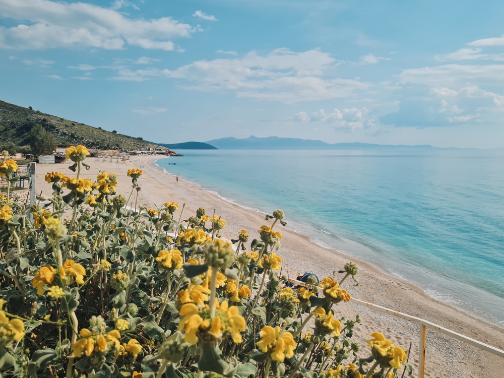 Albanien Roadtrip: Lukove Beach mit gelben Blumen
